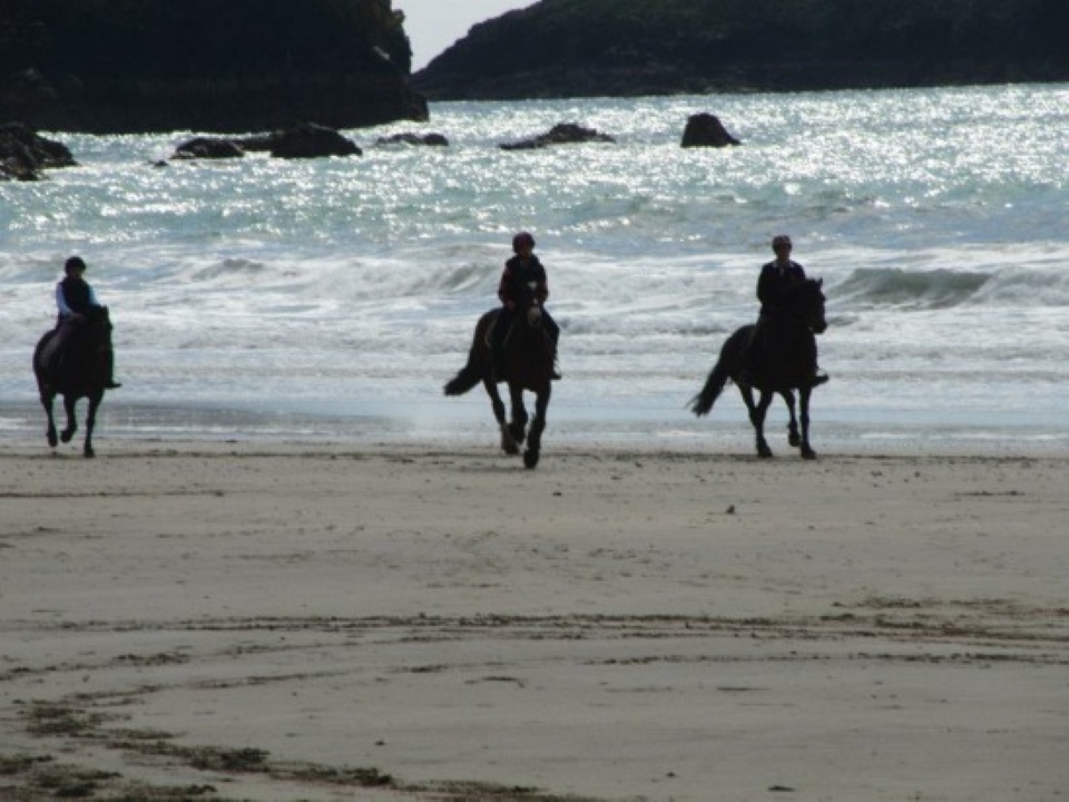 3 horses gallop on a beach in front of crashing waves on a honeymoon in Cornwall