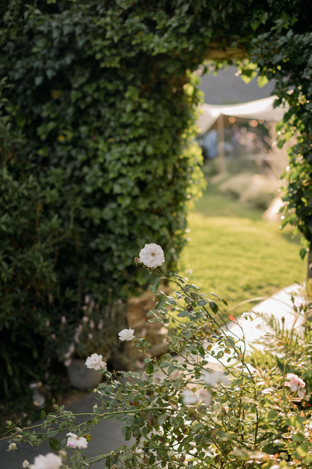 rambling roses english country garden wedding
