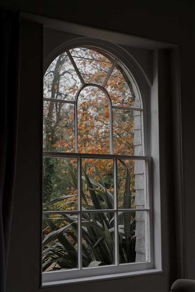 View out of window to autumn leaves