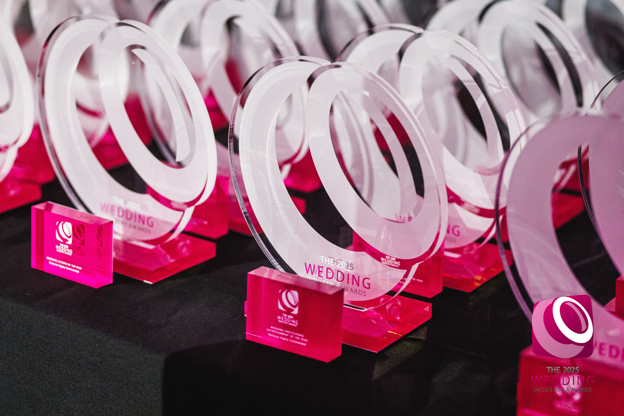 TWIA Wedding Industry awards in a row