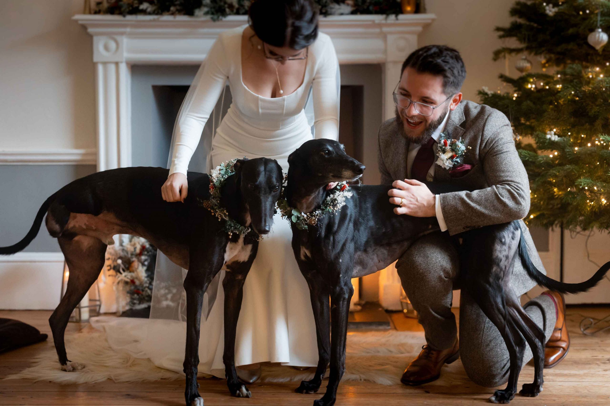 bride and groom and their rescue greyhounds on wedding day