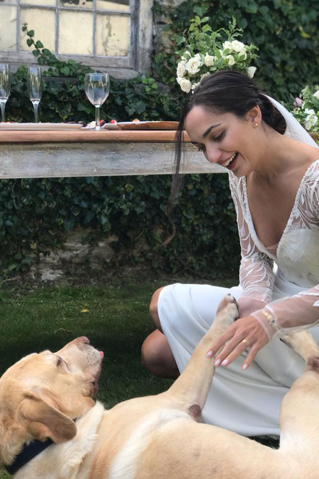 bride in wedding dress outdoors with yellow Labrador