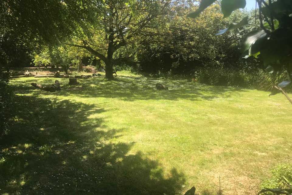 Newly laid lawn